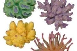 Образцы искусственных кораллов DeCoral