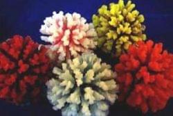 Образцы искусственных кораллов Red Sea